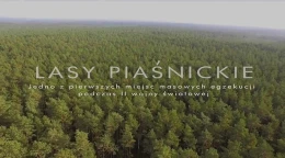 Lasy Piaśnickie z lotu ptaka