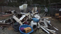 Schronisko w Dąbrówce podnosi się po tragedii