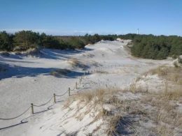 Szum fal i bezkresne piaszczyste plaże, czyli ścieżką przez wydmy