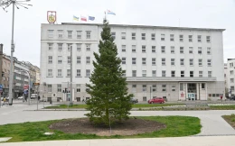 Od kwietnia przygotowują się już do świąt Bożego Narodzenia. Przed urzędem w Gdyni zasadzono jodłę