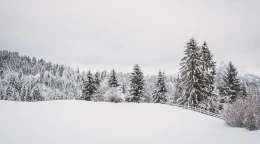 Siarczyste mrozy wracają. W prognozach nawet -20 stopni