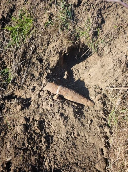 Podczas spaceru znalazł pocisk z czasów II wojny światowej