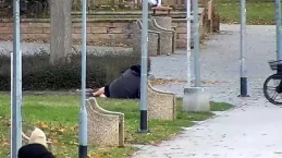 'Miała trudność z podniesieniem się z trawnika'. Zaginionej 90-latce pomogli przechodnie 