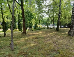 Cmentarz przyszłości? Drzewa i krzewy zamiast grobów