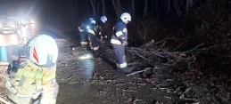Wiatr sieje spustoszenie na Pomorzu – blisko 500 interwencji strażaków