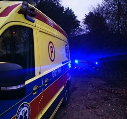 Z wieży widokowej spadł nastolatek. Zginął na miejscu 