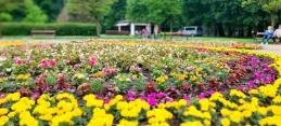 To miejsce zachwyciło jurorów. Wybrali najlepszy park w okolicy!