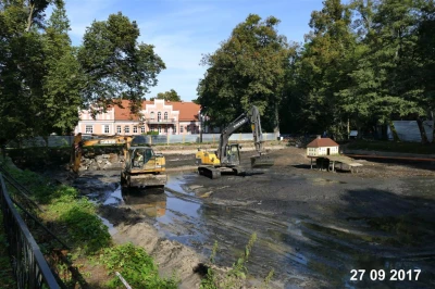 Remont łabędziego stawu w Parku Miejskim, 2017, fot. Leszek Spigarski