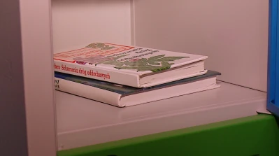 Miniatura