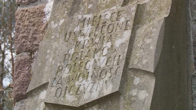Zrzut ekranu 2367.png