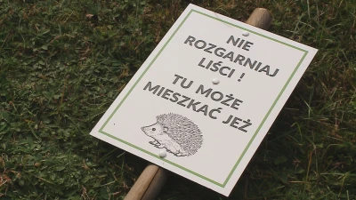 Jeżostrefy w Wejherowie - warsztaty dla dzieci