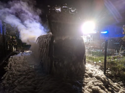Miniatura