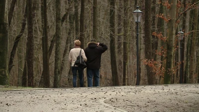Park Majkowskiego, Wejherowo