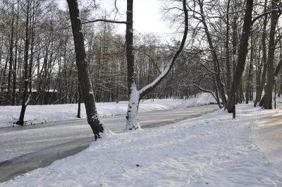 Zima w obiektywie
