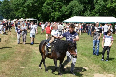 Świecino 2017 - jarmark i obozowisko. Fot. Leszek Spigarski.