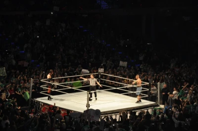 Wrestling - wszystkie chwyty dozwolone
