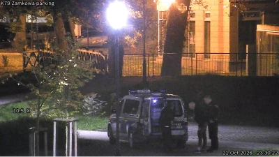 Wyrzucał śmieci i szarpał za klamki samochodów. Wszystko zarejestrowała kamera