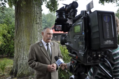 W pomorskich lasach przybyło sokołów pustułek