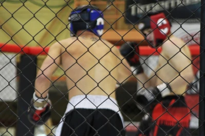 Puchar Polski Północnej Amatorskiego MMA w Gdyni
