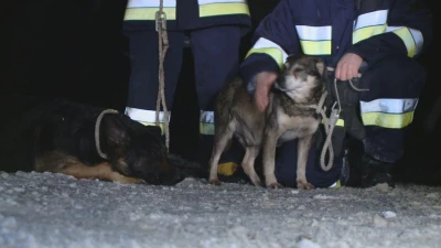 Gmina Szemud. Czołowe zderzenia na „podwójnym gazie”