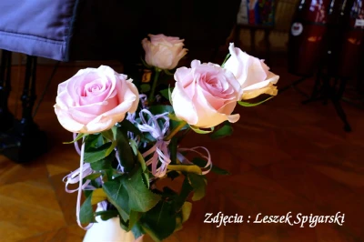 fot. Leszek Spigarski