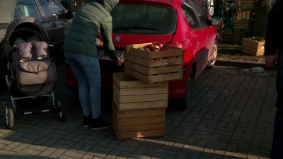 Darmowe jabłka w Wejherowie - 27.01.2017 - fot. TTM