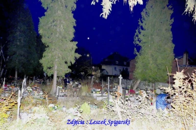 fot. Leszka Spigarskiego