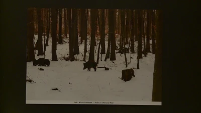 Fotografia Przyrodnicza - wernisaż
