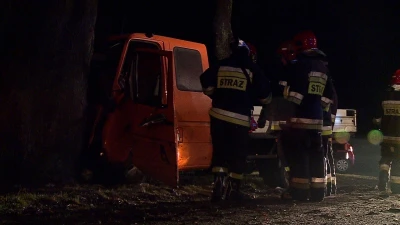 Auto dostawcze uderzyło w drzewo