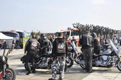 Motoserca w Sopocie