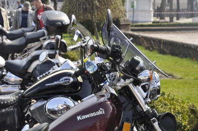 Motoserca w Sopocie