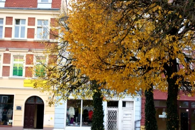 Parki wejherowskie