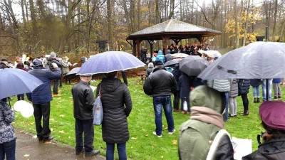 Finał Parady Niepodległości 2017 w Wejherowie - fot. Leszek Spigarski