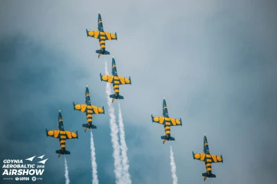 Gdynia Aerobaltic 2018 by Marek Kwasowski 3.jpg