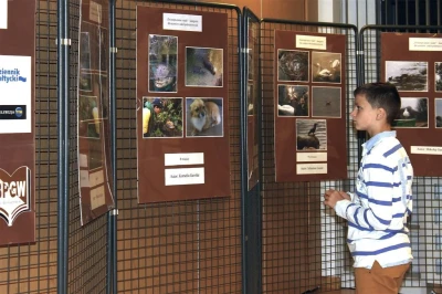 XI Powiatowo - Gminny Konkurs Fotograficzny rozstrzygnięty (fot. D. Wicka, L. Spigarski)