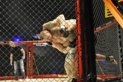 Ekstremalne walki na gdyńskiej gali MMA