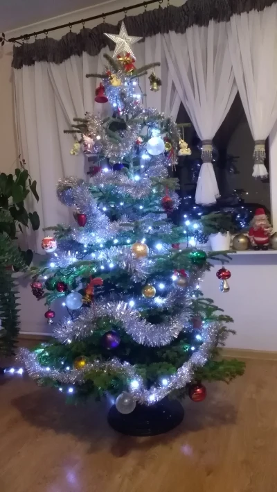 IMG_20201227_170201.jpg