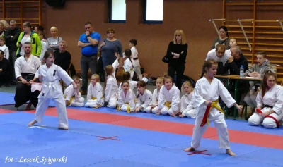 Wejherowo 2017: Pomorski Turniej Karate Tradycyjnego - fot. Leszek Spigarski