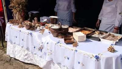Dożynki powiatu puckiego