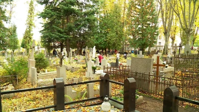 Miniatura