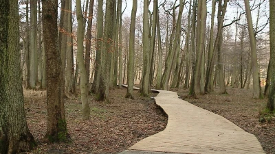 Park Majkowskiego, Wejherowo