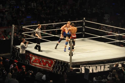 Wrestling - wszystkie chwyty dozwolone