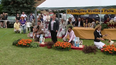 XVII Krajowa Wystawa Psów Rasowych w Kolibkach