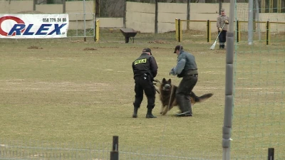 Ćwiczenia policji na stadionie Gryfa Orlex