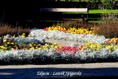 Zespół I L I A zagrał podczas Koncertów Letnich w Wejherowie