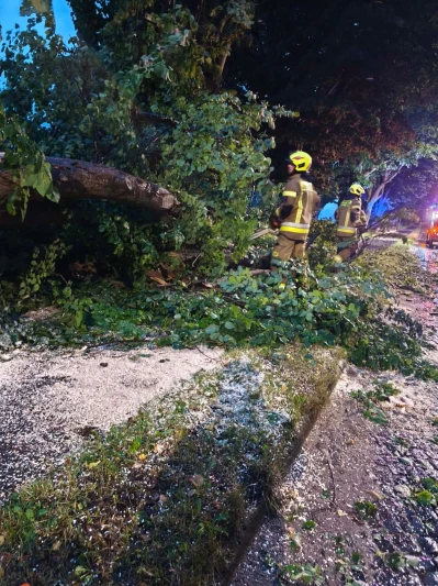 Wichura na Kaszubach. Strażacy informują o powalonych drzewach