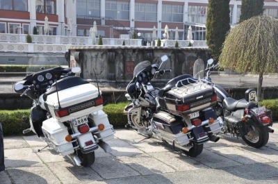 Motoserca w Sopocie