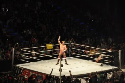 Wrestling - wszystkie chwyty dozwolone