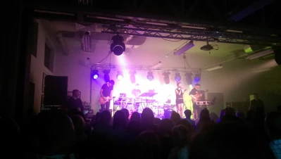Koncert Sarsy w Fabryce Kultury w Redzie (fot. Adam Kołodziej)