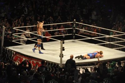 Wrestling - wszystkie chwyty dozwolone